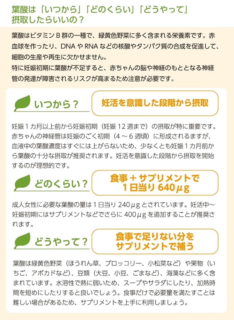 葉酸は「いつから」「どのくらい」「どうやって」摂取したらいいの？