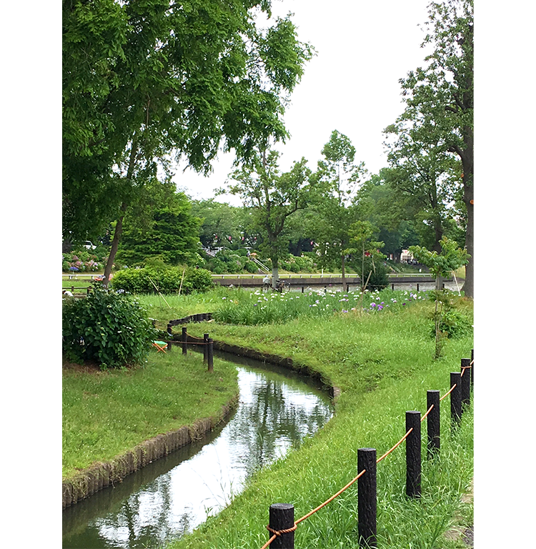 『ホッと出来る風景』