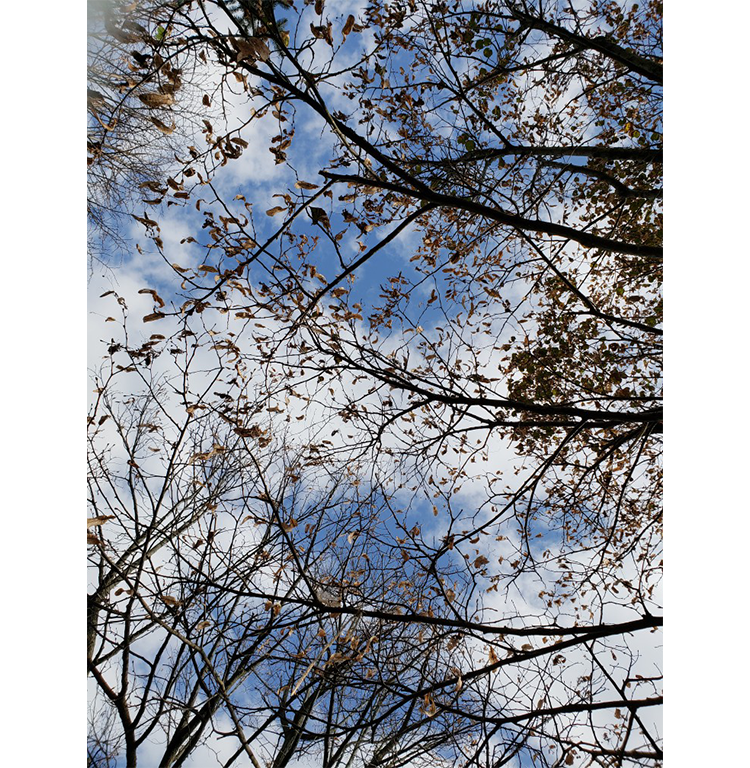 『船橋アンデルセン公園で見上げた青空』