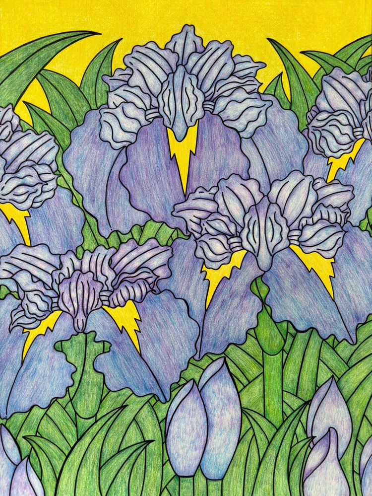 『花菖蒲』