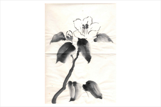『白椿』