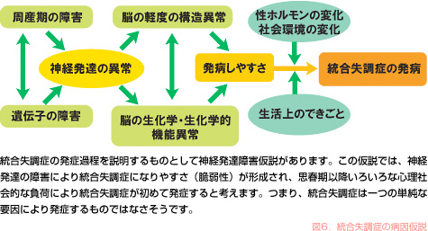 図6．統合失調症の病因仮説