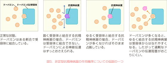 図5．非定型抗精神病薬の作用機序についての仮説の一つ