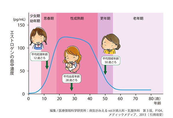 女性ホルモンの変化